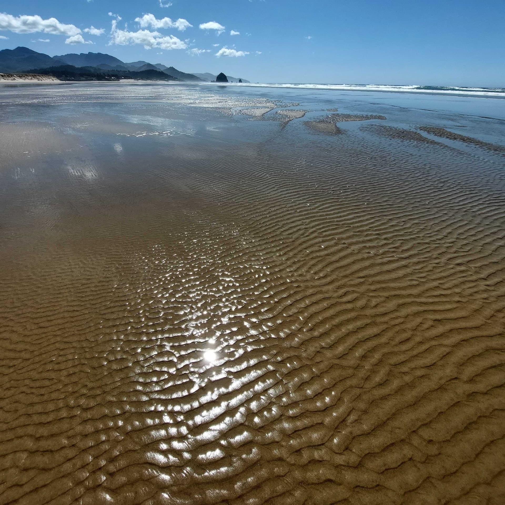 Pacific coast